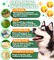 Flea and Tick Prevention for Dogs Chewables Natural Dog Flea and Tick Control Supplement Flea & Tick Chews for Dogs Oral Flea Pills for Dogs Pest Defense All Life Stages Made in USA